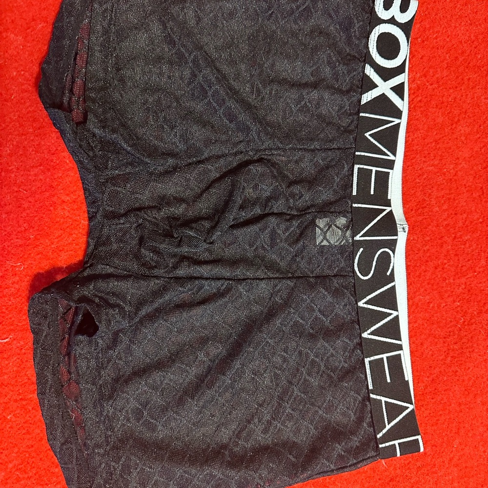 Box Menswear Sheer Boxer Briefs